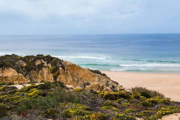 Comporta