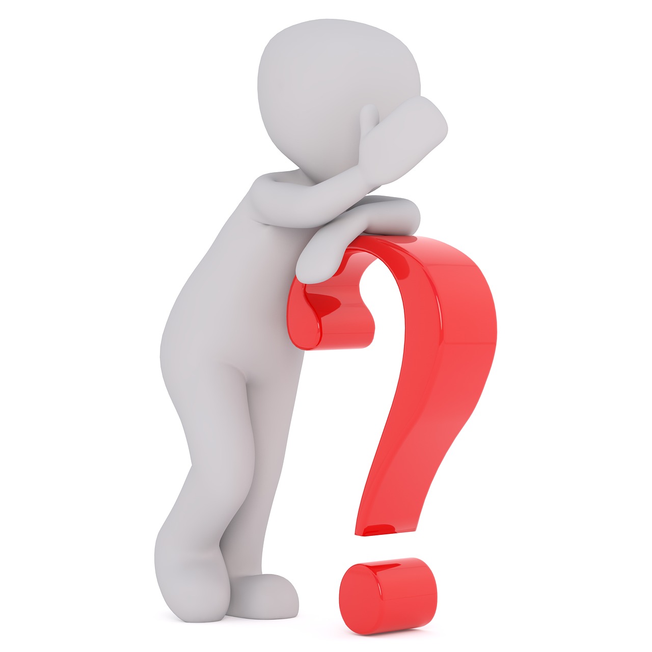 cine este amalia bellantoni